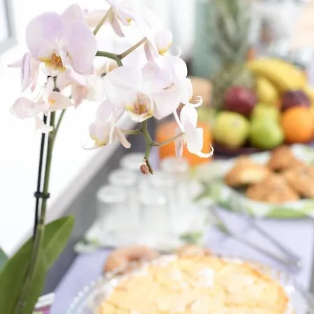 Starnone Bed&book 4*