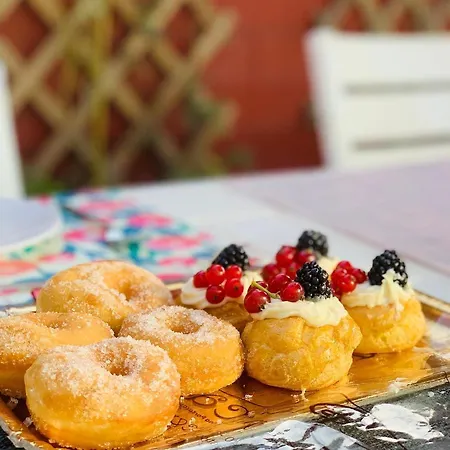 Starnone Bed&book 4*